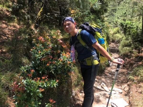 向陽山.三叉山.嘉明湖【揭開夢幻仙境的殘1047926