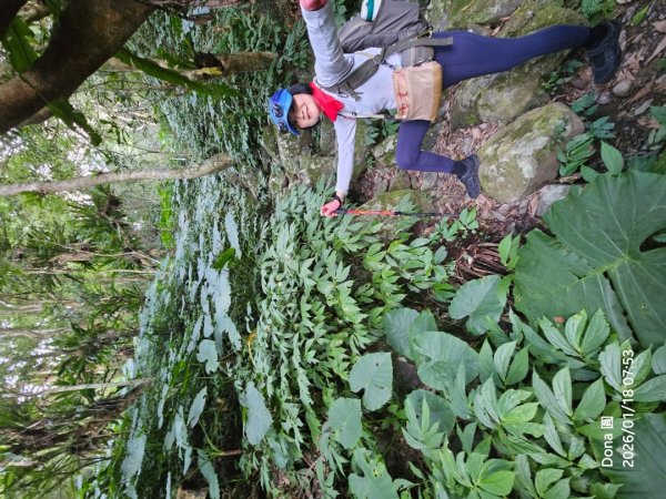 南插天山.魯培山.上宇內山(南插北峰)2989748