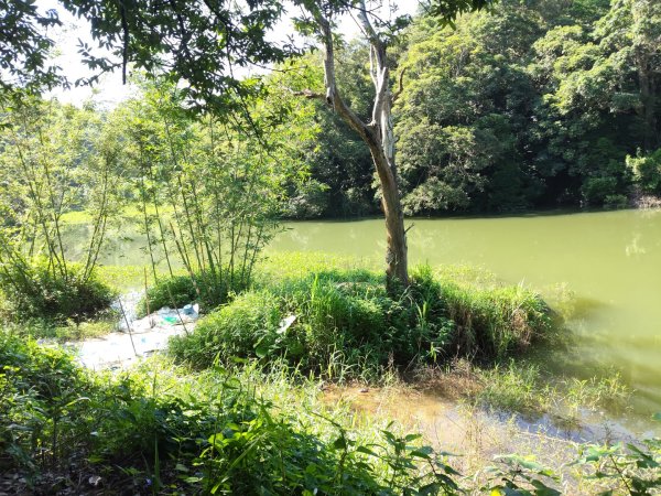 寶山水庫環湖步道3081799