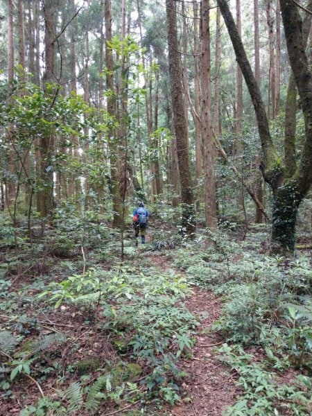 霞喀羅大山之跡600786