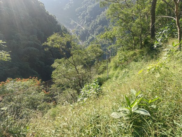 嚼嚼斯古道，嚼嚼斯部落遺址，鱉頭山2606056