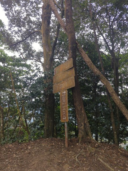 2025.01.18－仙山步道2706114