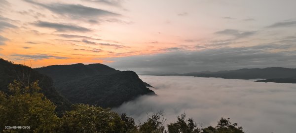 #翡翠水庫壩頂 #月亮 #日出 #雲海 #藍腹鷴母鳥 5/8&133050267
