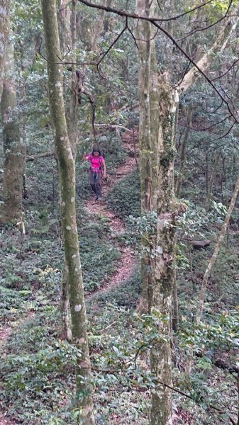 那結山（嘎色鬧部落線）893455