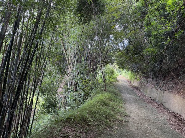 [皮皮獅動物派對-01/10] 2026_0815 寶山迴龍步道、環湖步道3112338
