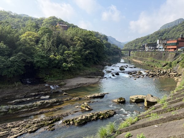 2026_0412 鐘萼木賞花 - 淡蘭國寶樹3035277