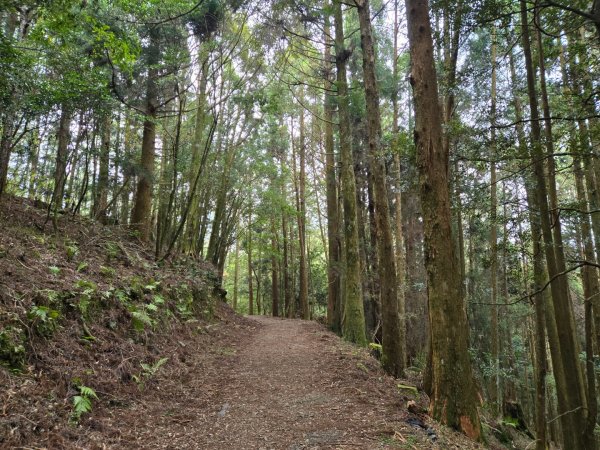 石山引水道2758971