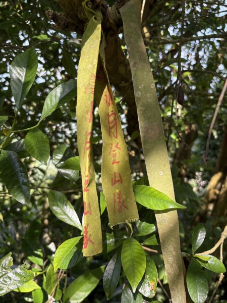 20251011台南刣牛湖山登山步道2915060