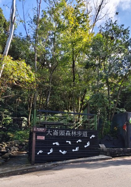 大崙頭尾山2990345