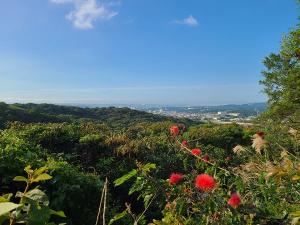 羊稠山.五酒桶山步道加碼竹圍海鮮跑沙灘1938704