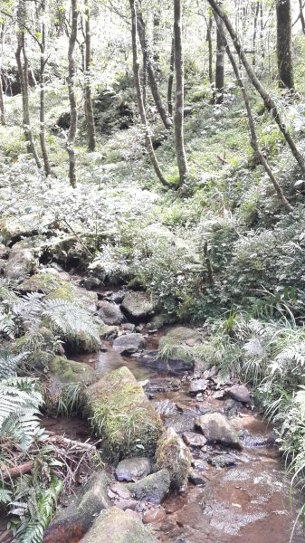 20190912 從雲森瀑布登樂佩山679431