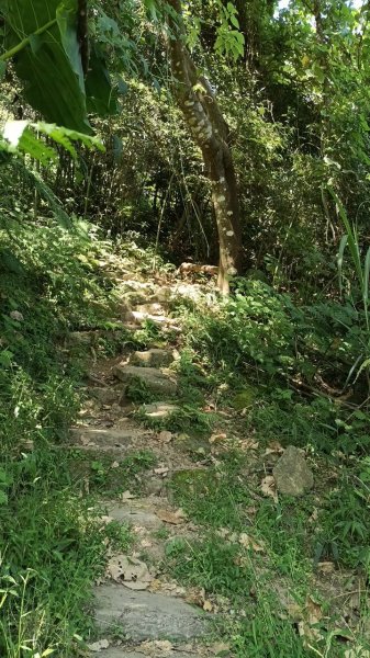 20251004 馬那邦山 - 珠湖 登山口2904889