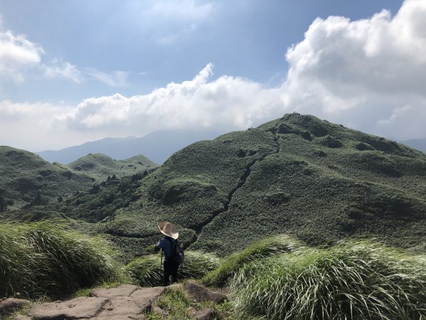 【台北大縱走3】冷水坑-七星山-小油坑1006345