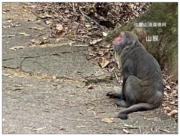 人頭山、靈山步道 連走2962205