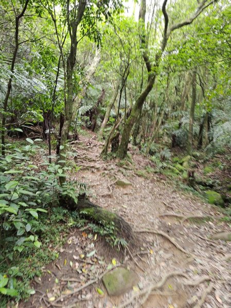 臺北大縱走第四段 風櫃口至中華科技大學2774216