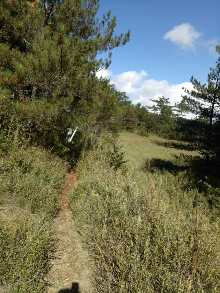 將軍廟上天鑾池+武法奈尾山1881029