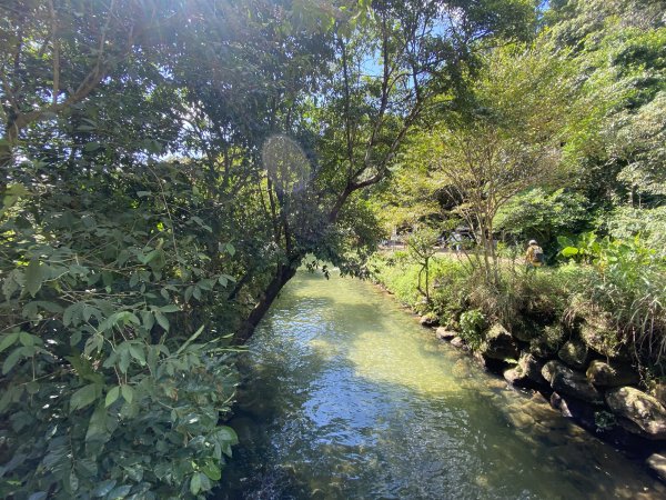 《五指山古道 × 石盤瀑布 × 友蚋山南峰 × 柯子林天然泳池｜尋訪山林古道與靜謐日式庭園》2922993