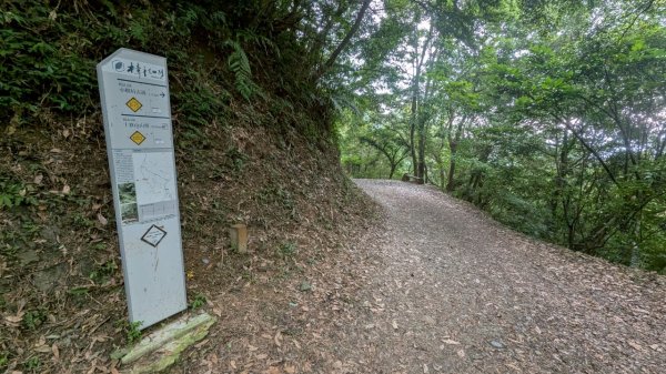 114.06.21大竹坑山-小粗坑山-石門山之旅2818866