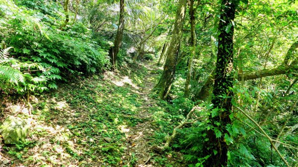 磐石嶺,鳥嘴尖,姜子寮山,姜子寮絕壁2863514