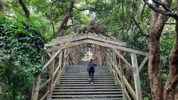 《彰化》古意人文｜員林18觀音O繞大峰巷挑水古道202504122759453