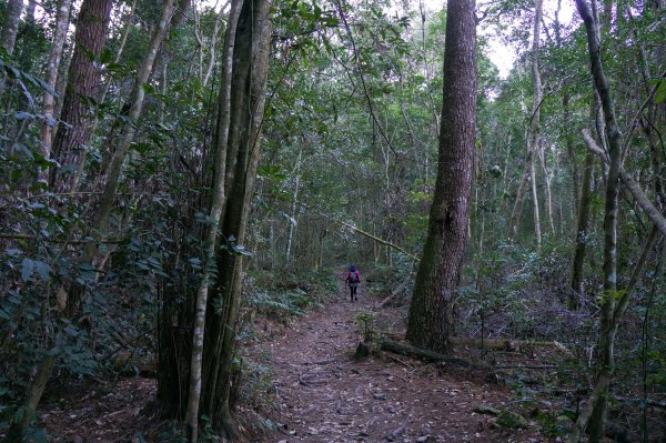 谷關七雄之馬崙山1230260