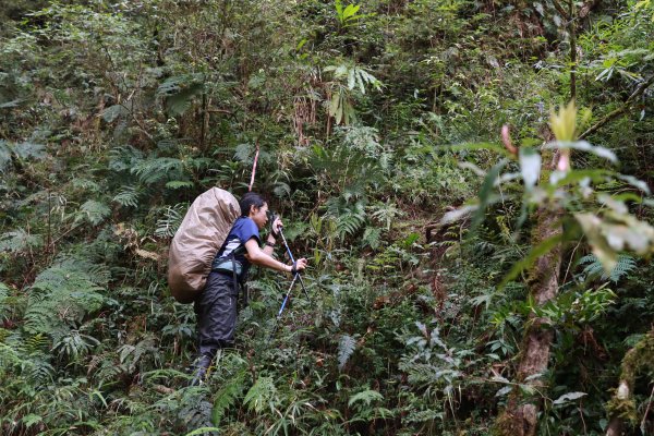 豐山眠月：石夢谷連走水漾千人洞2757767