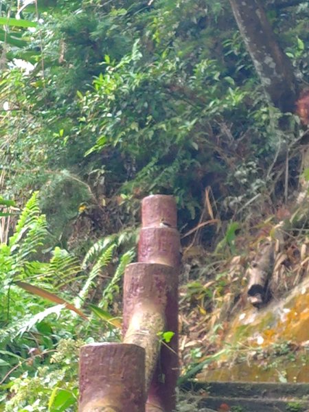 鳳鳴古道 鳳鳴山 南隘勇（南長城）古道 三湖山 八達嶺（龍骨）古道 綠色古道 延平古道2975153