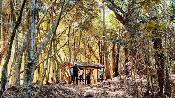 🌈11/15（六）松鶴上八仙山下森林遊樂區✨FB：熊熊趴爬走🌈2937672