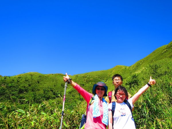 走聖母與三角崙山步道 再探神級抹茶山698494