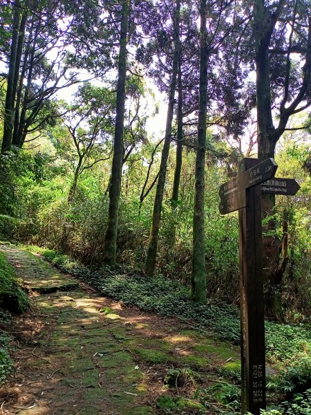 環七星山人車分道、百拉卡公路人車分道【走遍陽明山】2107389