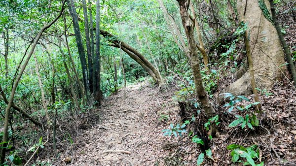 大邱田石門洞2856198