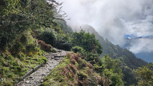 玉山前峰，關子嶺大凍山，宜蘭拳頭姆自然步道2313389