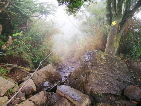 苗栗南庄～陡上陡下無冷場台灣富士山加里山1086962