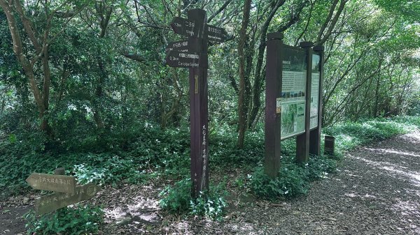 台北大縱走第一段2766808