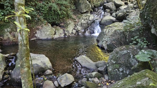 20250820金童玉女月牙天沖(金童嶺-玉女嶺-女王尖-月牙嶺-瑞光嶺-明月崙-清淨嶺-文筆嶺-清2872738