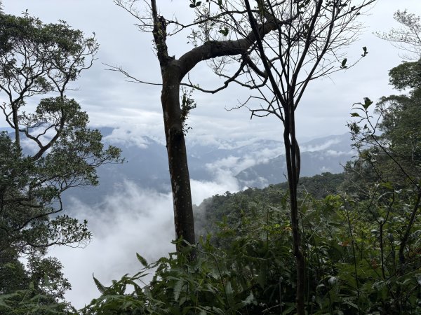 20251227尾寮山登山步道2970527