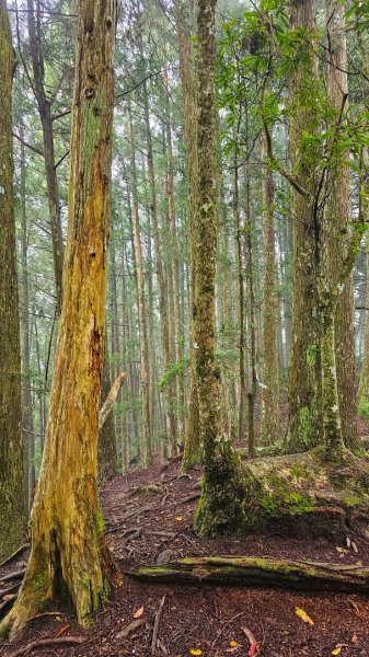 112.04.08 油羅山2123576