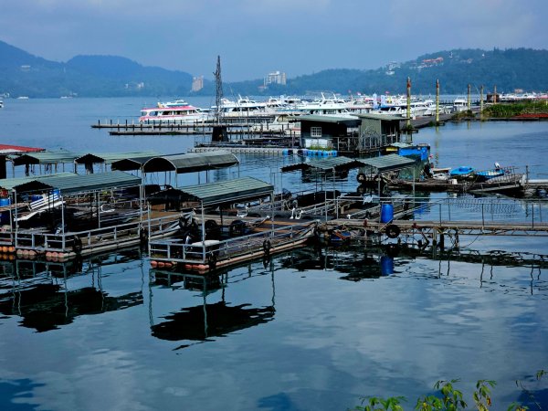 日月潭徒步環潭30公里2955800