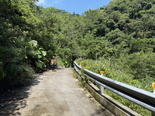 加奈美山 (開車富南上至2K水泥路尾起登)202609063118768