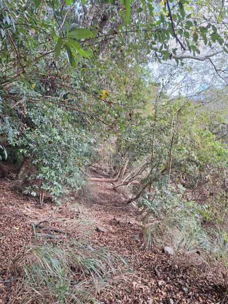 雪見駐在所+雪見山202512252971643