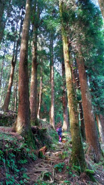 特富野、兒玉山、東水山、北霞山、一次滿足1005772