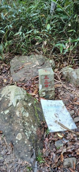 2025 4/5 加奈美山2754454