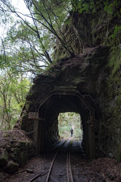 阿里山眠月線-二萬坪景色505573