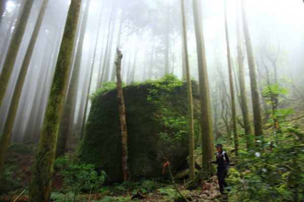 2018.06.16 加里山(大坪)352492