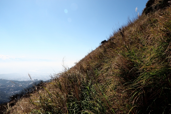七星山主東峰走春95336