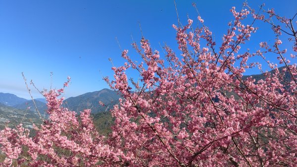 南投草坪頭2714121