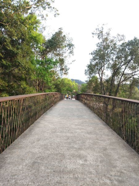 東勢林場森林浴場步道3019117