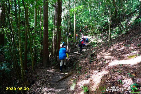 加里山~山貓趴趴走1084701