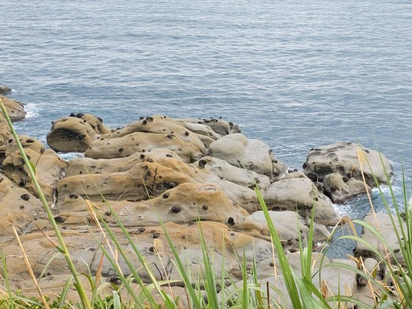 1090725基隆和平島公園&象鼻岩步道1055916