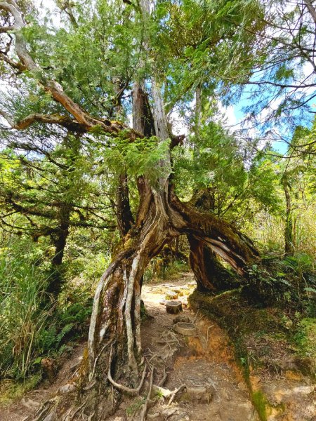 翠峰湖環山步道-(宜蘭)臺灣百大必訪步道2827561